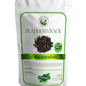 Bladderwrack