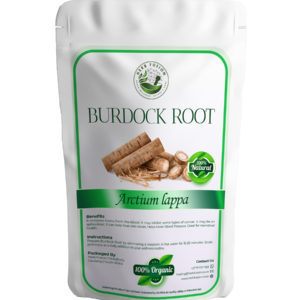 Burdock Root