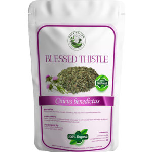 Blessed Thistle