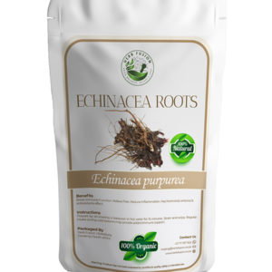 Echinacea Roots